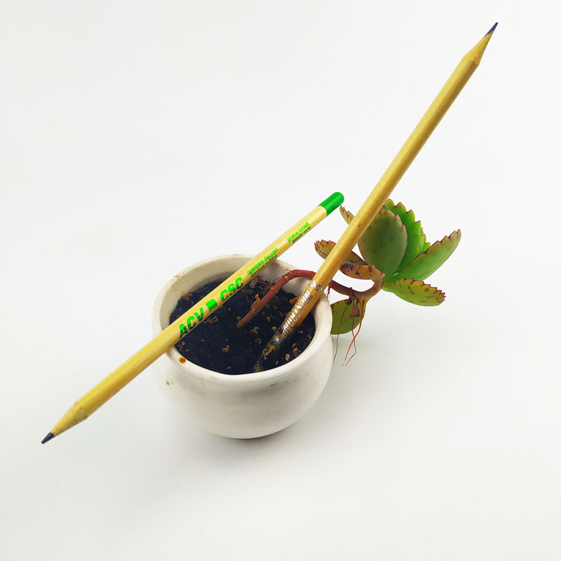 Eco Plantable capsule Pencil With Seed